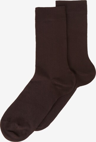 CALZEDONIA Socks in Brown: front