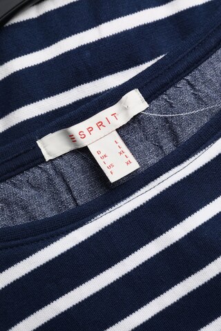 ESPRIT Top & Shirt in L in Blue