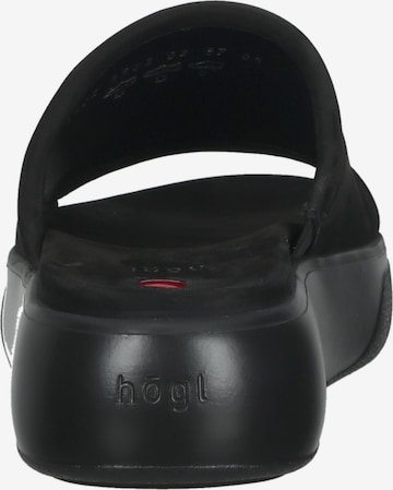 Mule Högl en noir