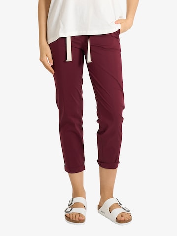 ViCOLO Regular Broek in Rood: voorkant
