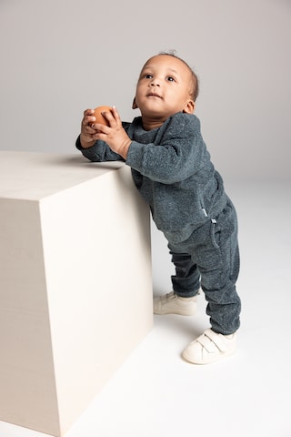 Noppies Sweater 'Seacliff' in Grey