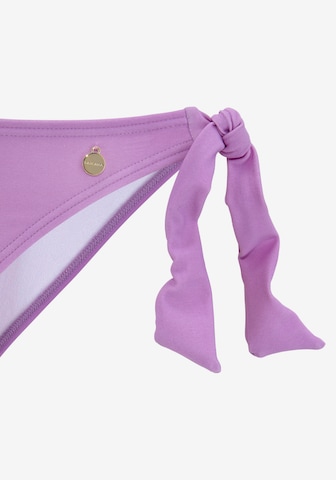 LASCANA Bikini Bottoms in Purple