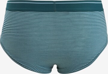 ICEBREAKER Athletic Underwear 'Anatomica' in Green