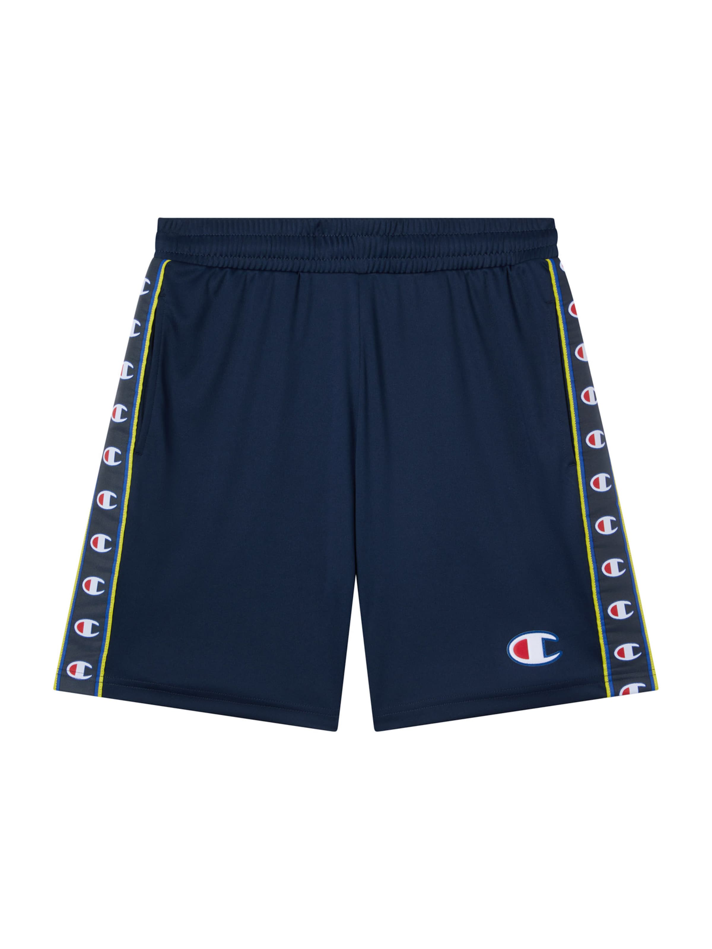 Champion Authentic Athletic Apparel Обычный Штаны в Синий: спереди