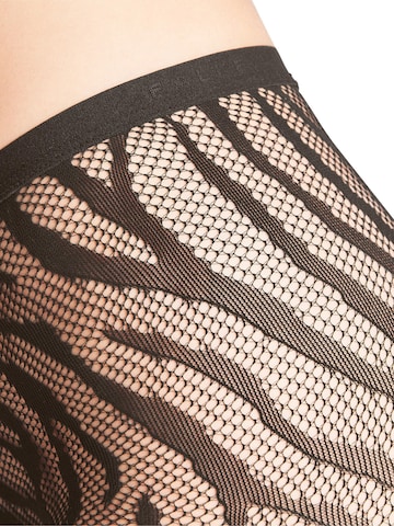 FALKE Tights 'Zebra' in Brown