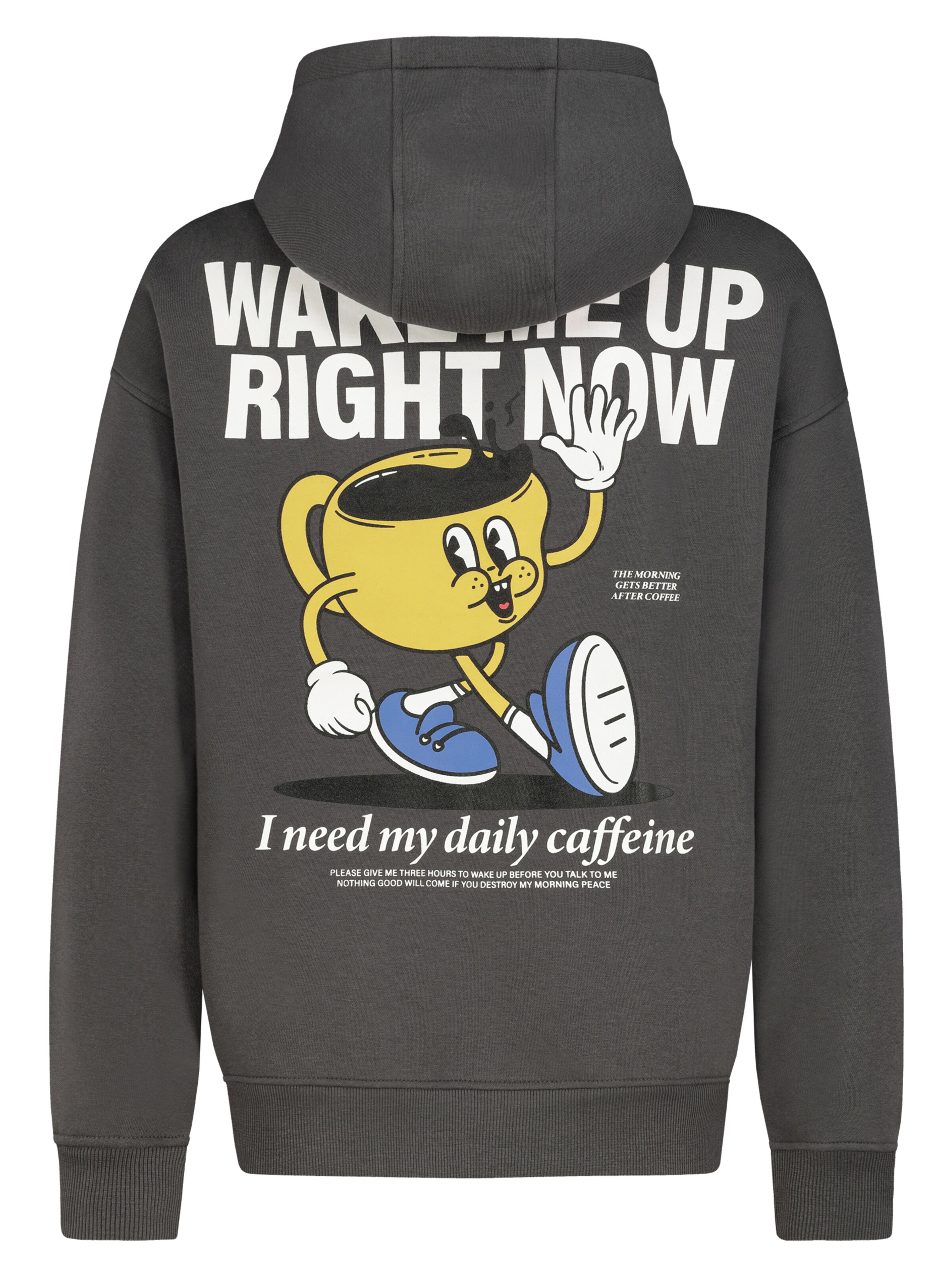 Sublevel Sweatshirt in Grau