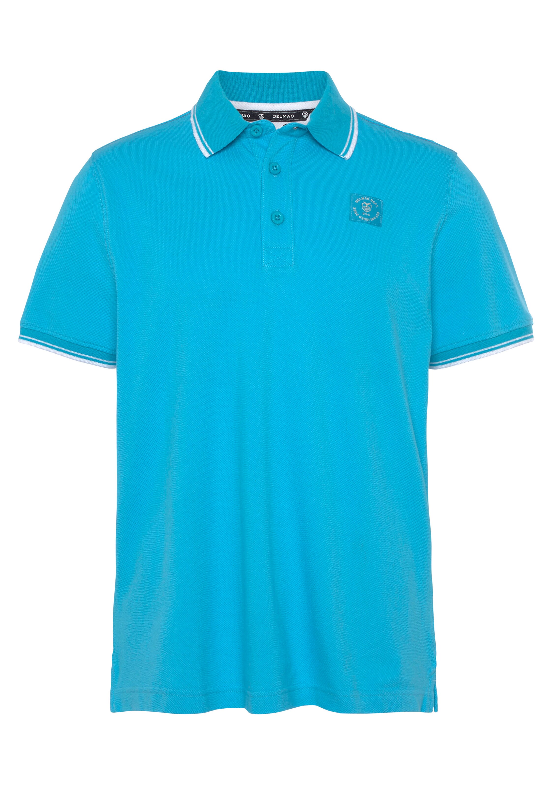 DELMAO Poloshirt in Blau: Vorderseite