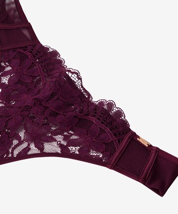 Hunkemöller String 'Kea' i lila