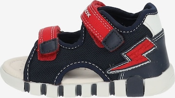 Chaussures ouvertes GEOX en bleu