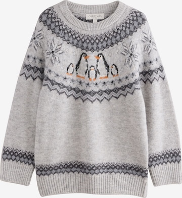 Next Pullover in Grau: Vorderseite