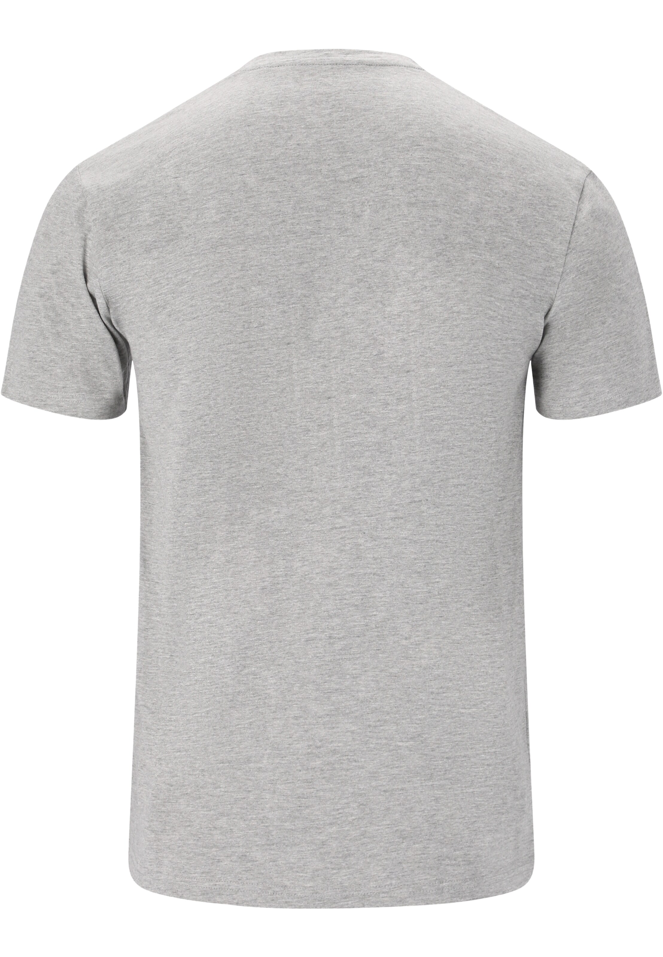 Cruz Funktionsshirt 'Edmund' in Grau