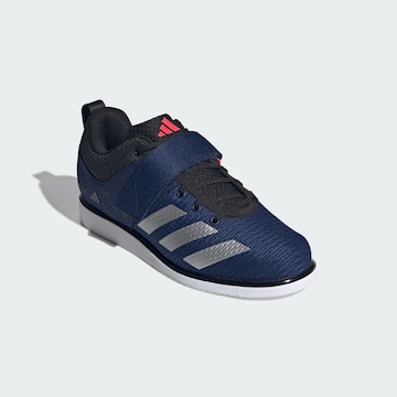 ADIDAS PERFORMANCE Sportschuh in Blau