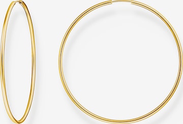 Thomas Sabo Ohrringe in Gold: Vorderseite