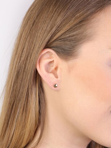 Lucardi Earrings in Gold
