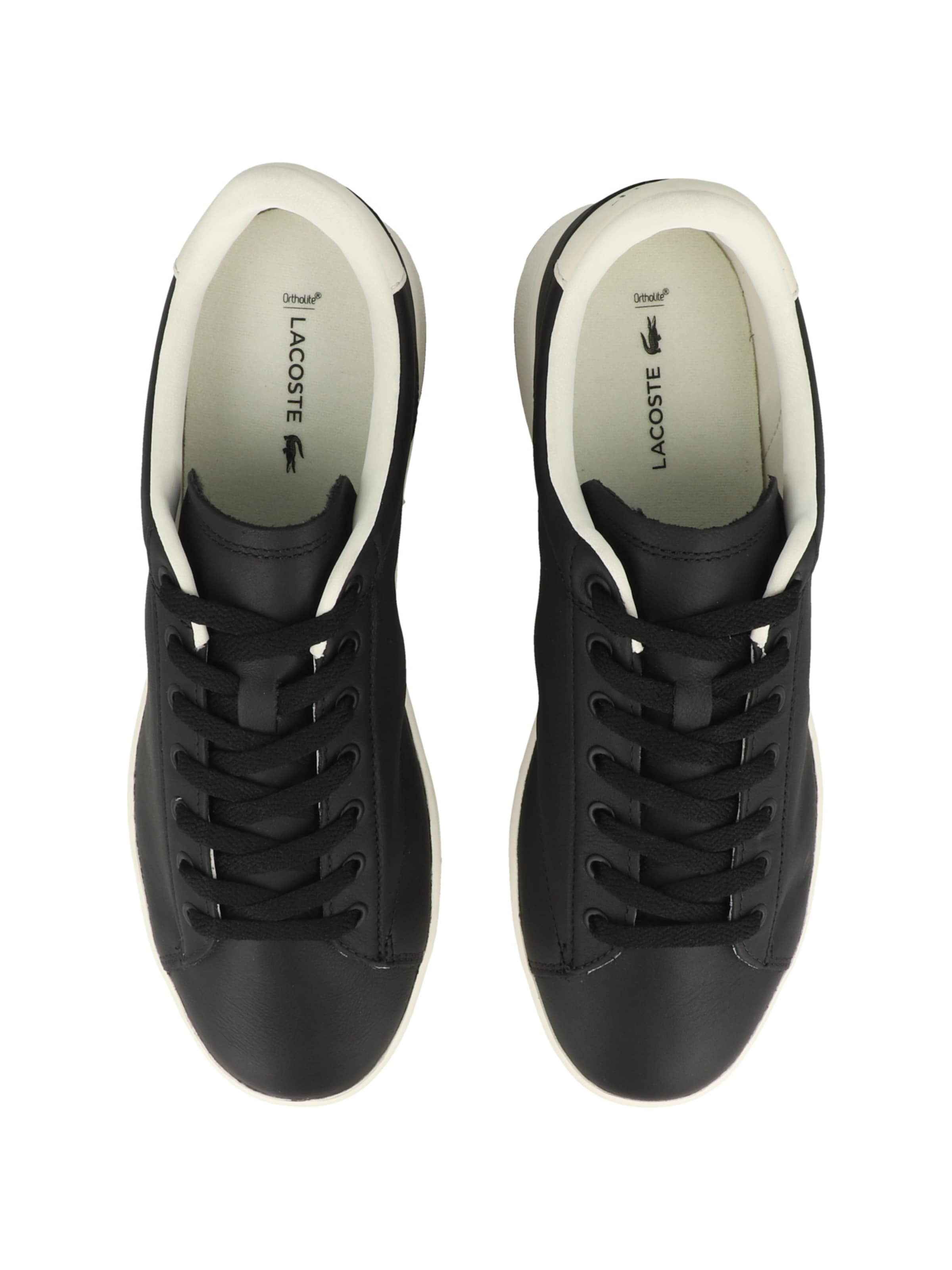 Sneaker bassa ' Carnaby Set 225 ' di LACOSTE in nero