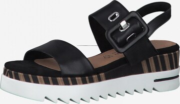 MARCO TOZZI by GUIDO MARIA KRETSCHMER Sandals in Black: front