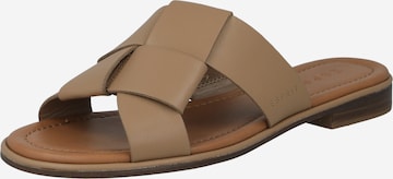 ESPRIT Mules in Brown: front