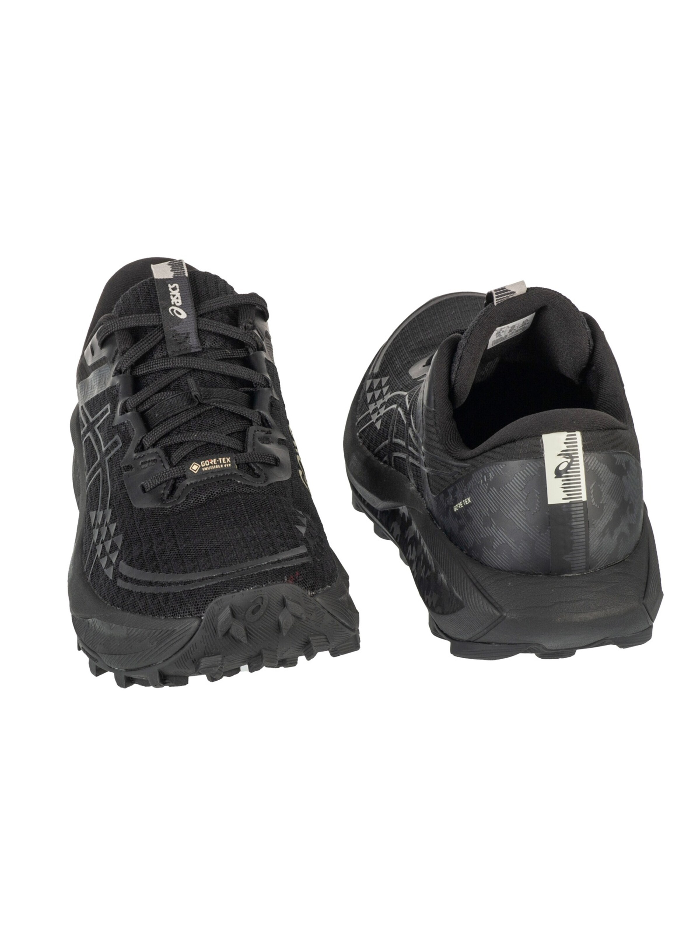 ASICS Loopschoen 'Gel-Trabuco 13 GTX' in Zwart