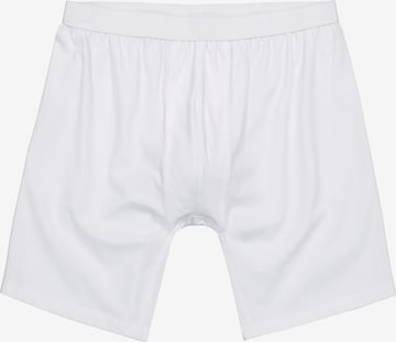 Men Plus Panty in White: front