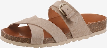 VERBENAS Mules in Brown: front