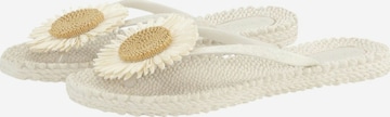 ILSE JACOBSEN Sandals 'Cheerful 16' in White: front