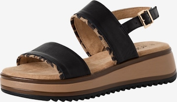 s.Oliver Sandals in Black: front