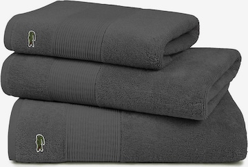 Asciugamano di LACOSTE in grigio: frontale