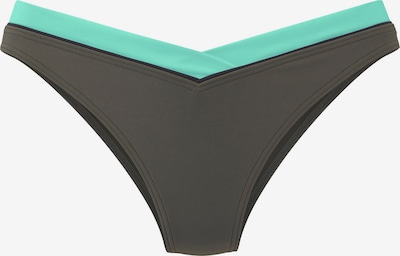 Bikinio kelnaitės iš s.Oliver, spalva – turkio spalva / tamsiai žalia, Prekių apžvalga