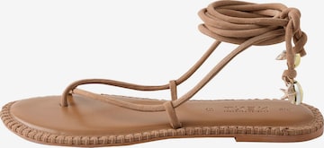 Next - Chinelos de dedo 'Forever Comfort' em castanho: frente