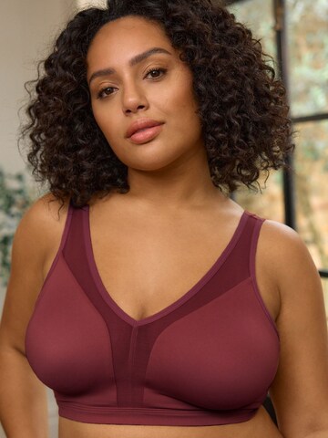 Next - Bustier Sujetador en lila