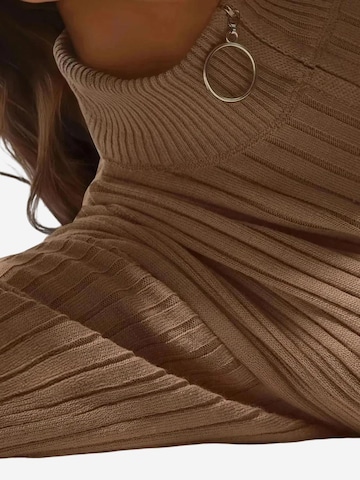 Bigdart Strickkleid 'Strickkleider'‌‌‌‌‌‌ in Braun