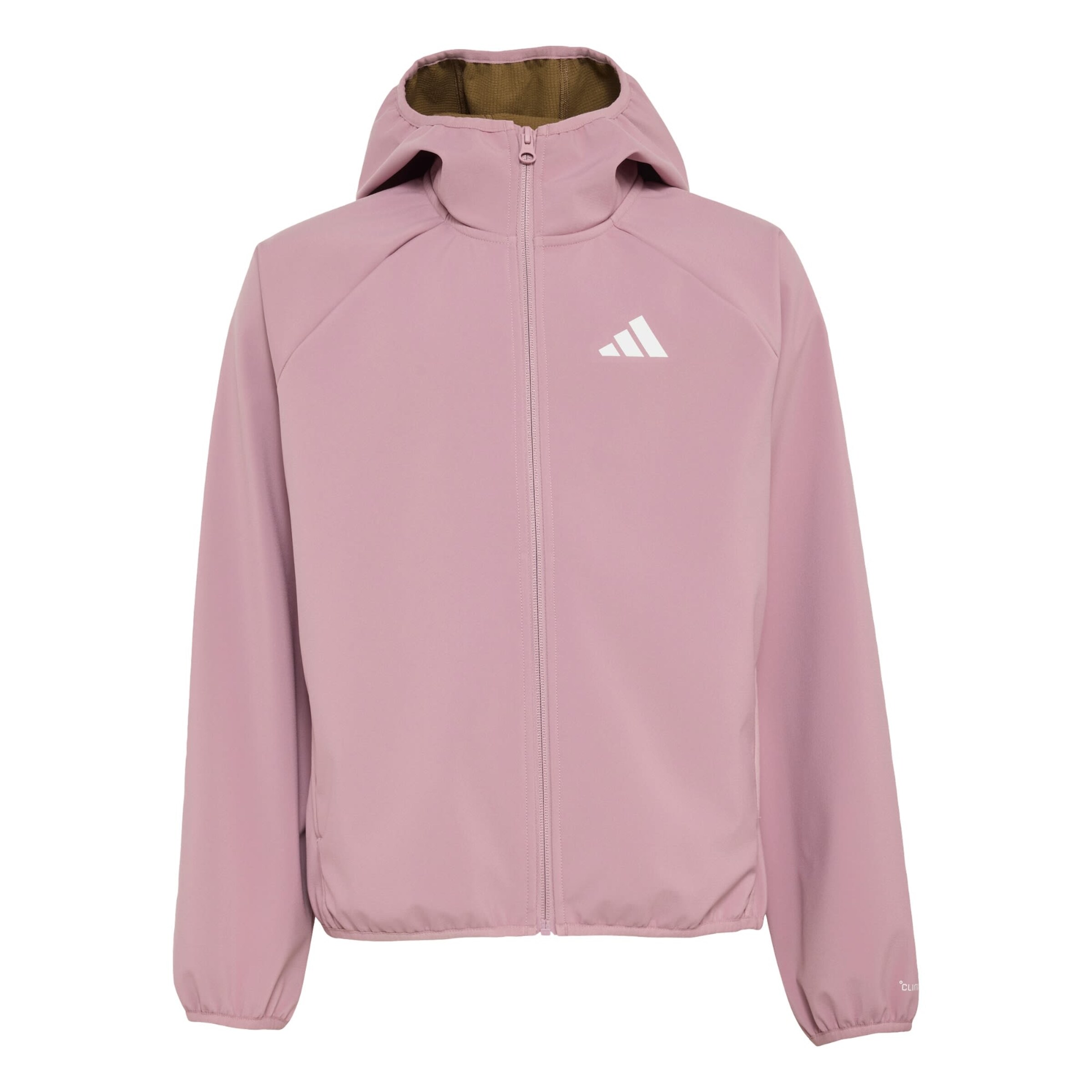 ADIDAS TERREX Outdoorjas 'Multi' in Lila: voorkant