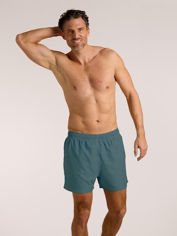 Pantaloncini da bagno di wavebreaker in blu