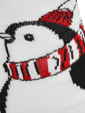 Lee Cooper Sokken 'Weihnachtssocken' in Gemengde kleuren