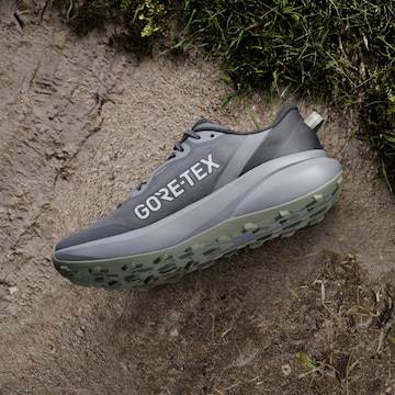 Chaussure basse 'Tracefinder Plus' ADIDAS TERREX en gris