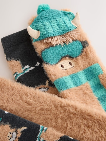 Chaussettes Next en mélange de couleurs