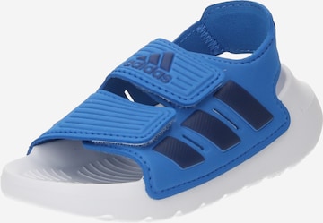 ADIDAS SPORTSWEAR - Sapato de praia/banho 'Altaswim 2.0' em azul: frente