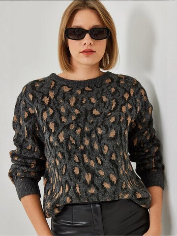 Pull-over 'Pullover' Bianco Lucci en gris