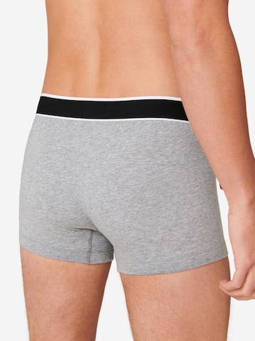 SCHIESSER Boxer shorts '95/5 Cotton' in Grey