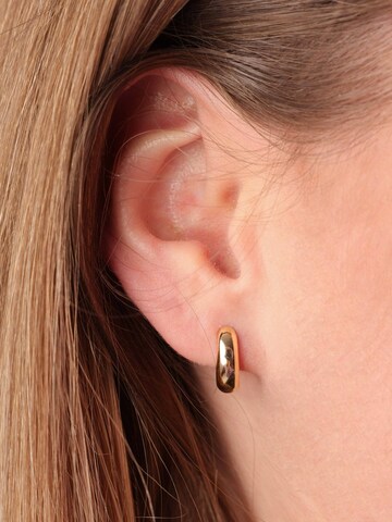 Lucardi Oorbellen 'Klassisch' in Goud