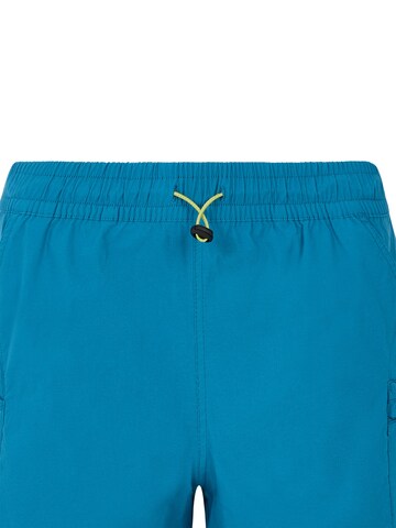 PROTEST Board shorts 'PRTBoto' in Blue