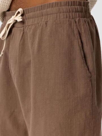 Dandalo Loose fit Trousers in Brown