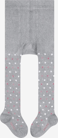 FALKE Tights 'Little Dot' in Grey: front