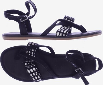 TOMS Sandalen 41 in Schwarz: predná strana