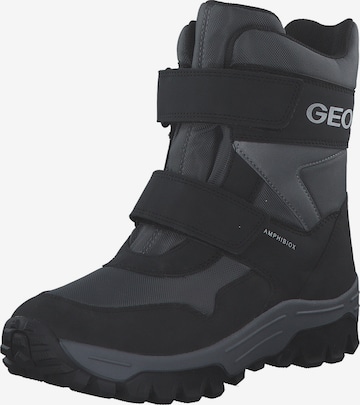 GEOX Winterstiefel in Grau: Vorderseite