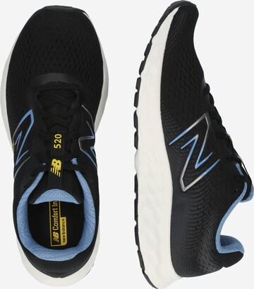 new balance Laufschuh '520' in Schwarz