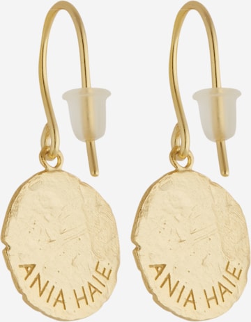ANIA HAIE Earrings in Gold