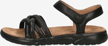 CAPRICE Sandals in Black