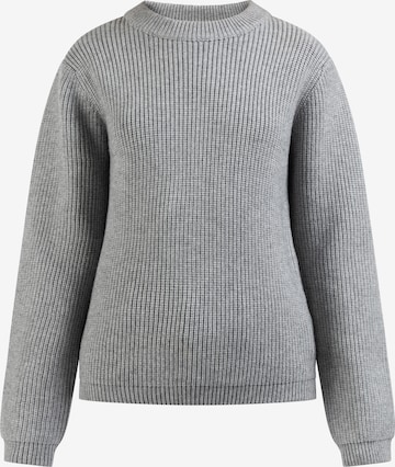 DreiMaster Maritim Pullover 'Palpito' in Grau: predná strana