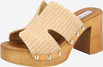 STEVE MADDEN Pistokkaat värissä beige: etupuoli